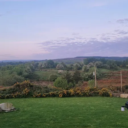 Entire In Ireland *