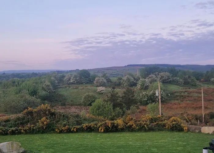 Entire In Ireland *